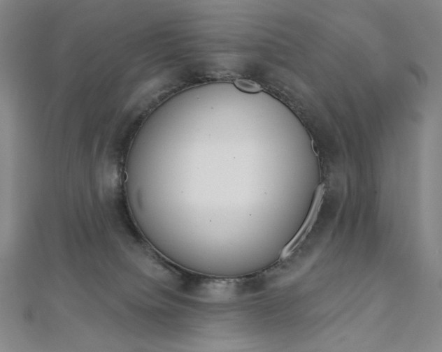 X0000112760084200909031556