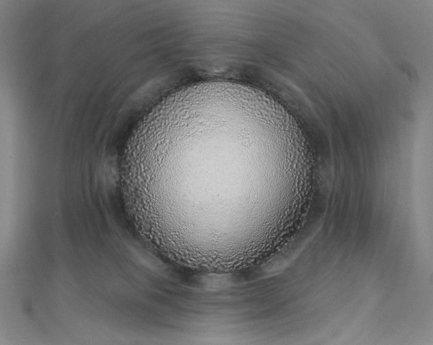 X0000112760085200909031556
