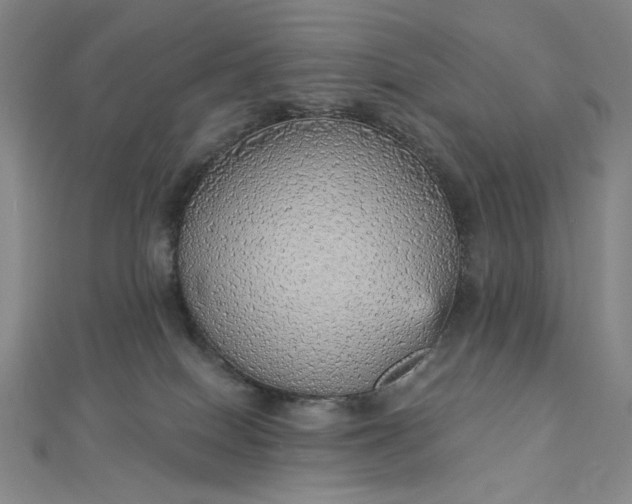 X0000112760086200909031556