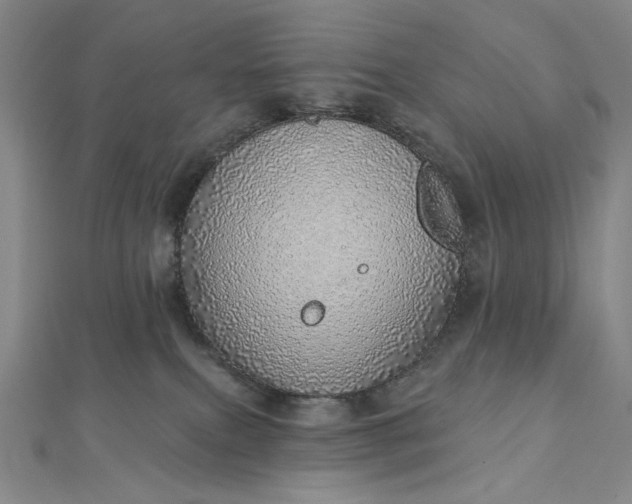 X0000112760087200909031556