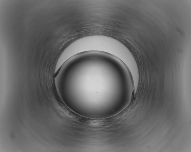X0000112760088200909031556