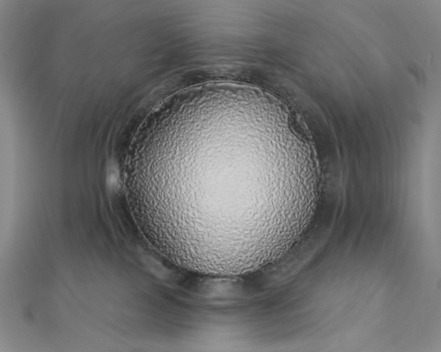 X0000112760089200909031556