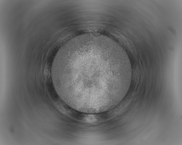 X0000112760091200909031556