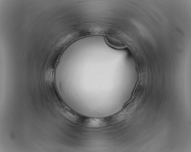 X0000112760093200909031556