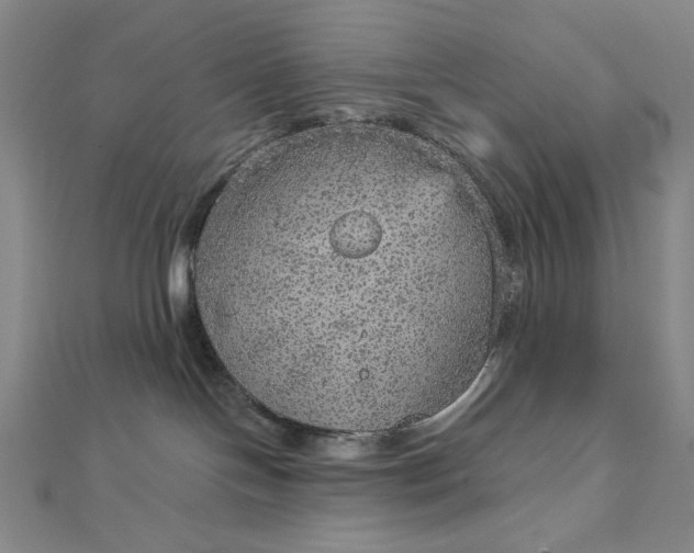 X0000112760094200909031556