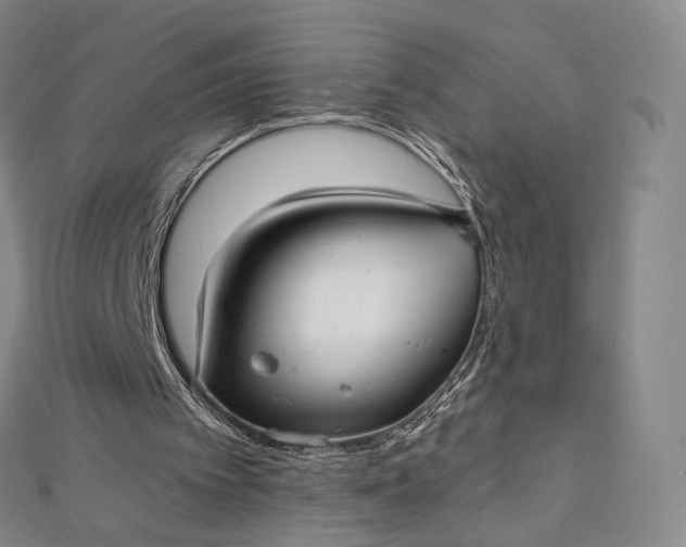 X0000112760097200909031556