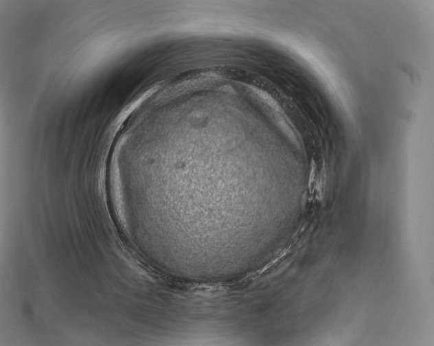 X0000112760099200909031556
