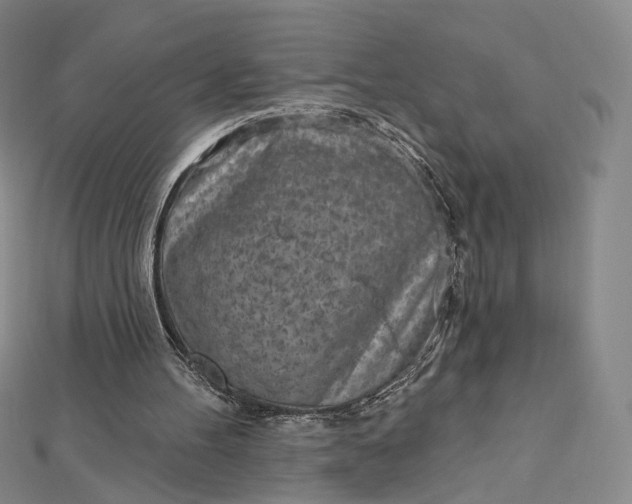X0000112760100200909031556