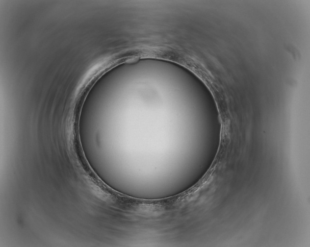 X0000112760101200909031556