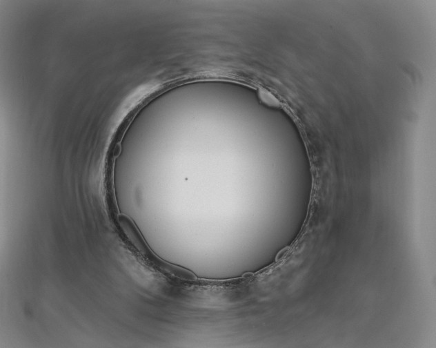 X0000112760104200909031556