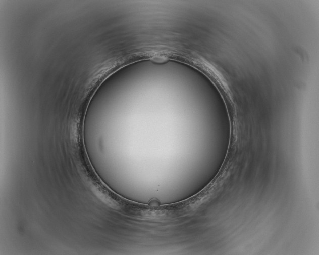 X0000112760105200909031556