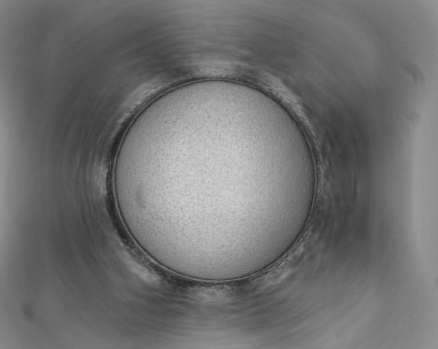 X0000112760106200909031556