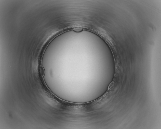 X0000112760108200909031556
