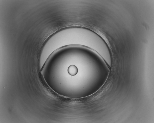 X0000112760109200909031556