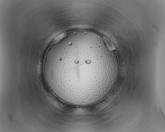 X0000112760111200909031556