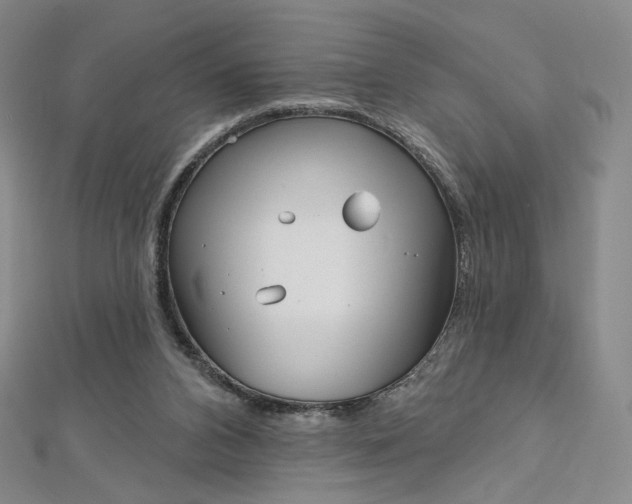 X0000112760112200909031556