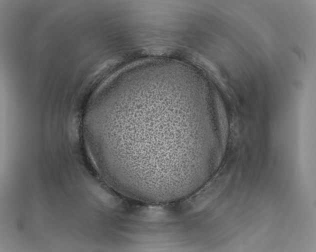 X0000112760114200909031555