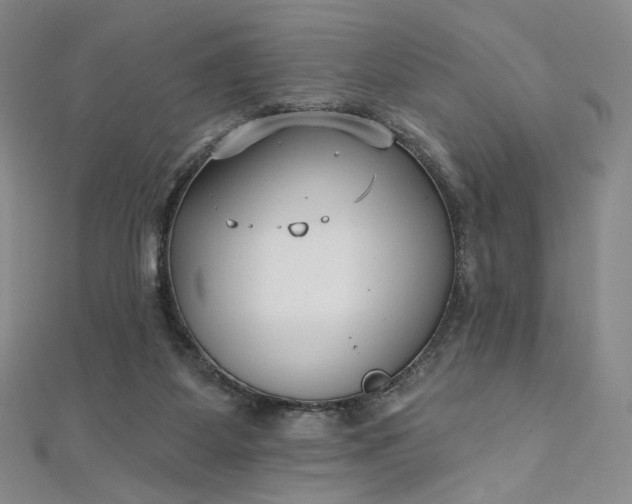 X0000112760115200909031555