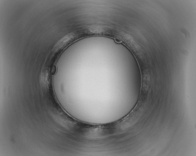 X0000112760116200909031555