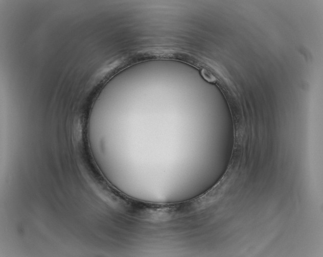 X0000112760120200909031555