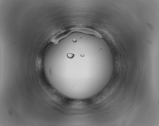 X0000112760123200909031555