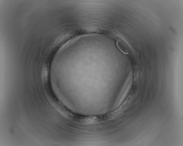 X0000112760124200909031555