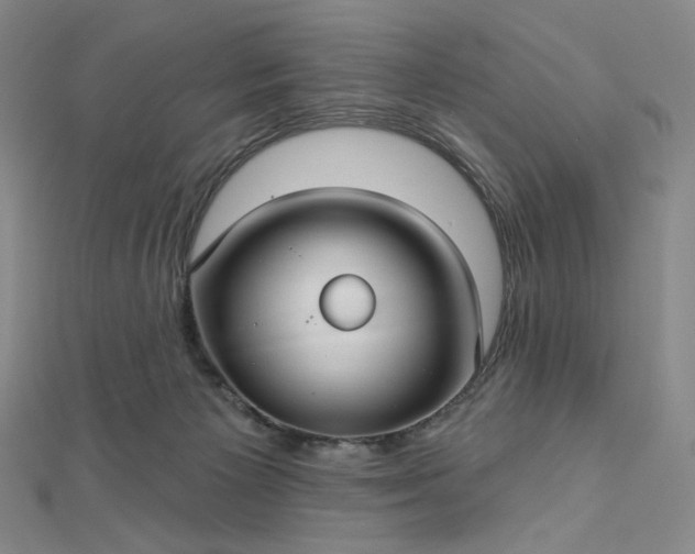 X0000112760125200909031555
