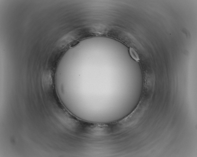 X0000112760128200909031555