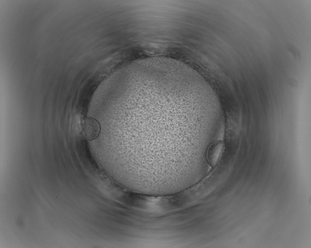 X0000112760130200909031555