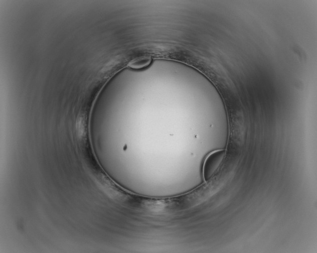 X0000112760131200909031555