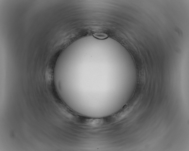 X0000112760135200909031555