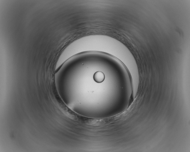 X0000112760136200909031555