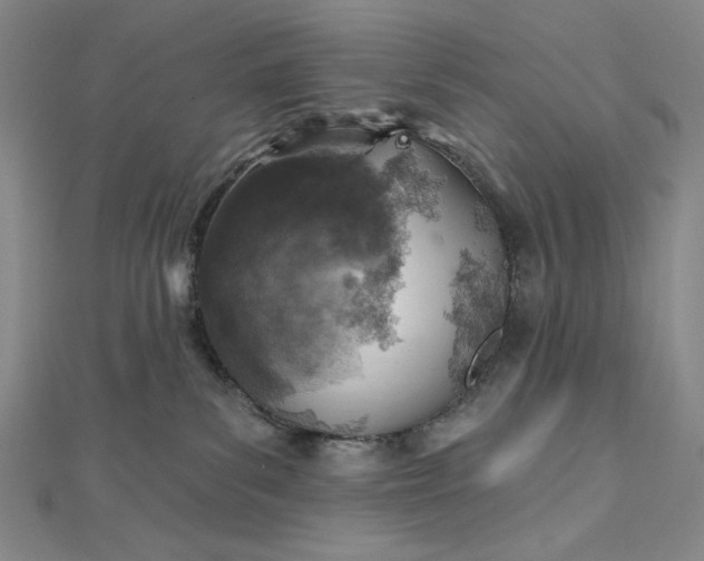 X0000112760139200909031555