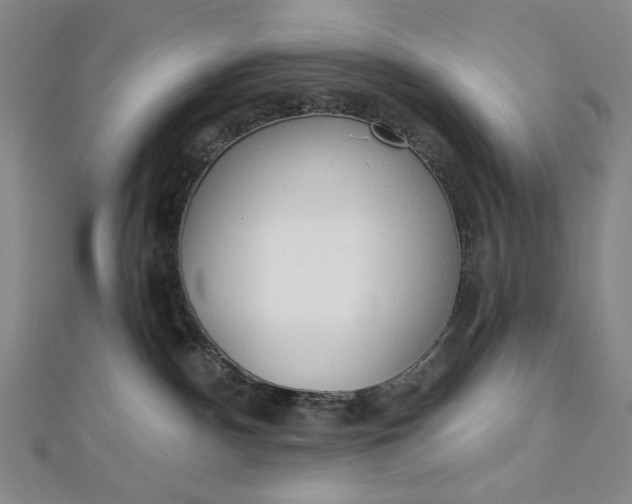 X0000112760140200909031555