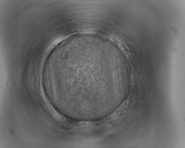 X0000112760145200909031554