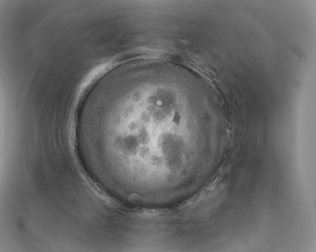 X0000112760149200909031554