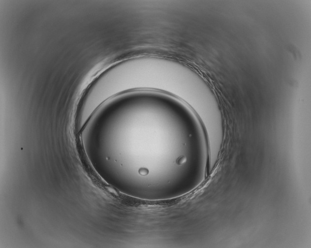 X0000112760150200909031554