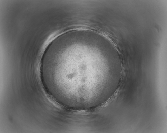 X0000112760151200909031554