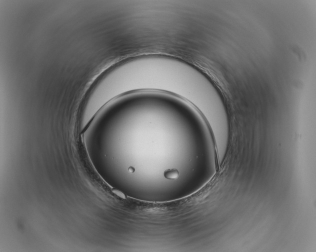 X0000112760156200909031554
