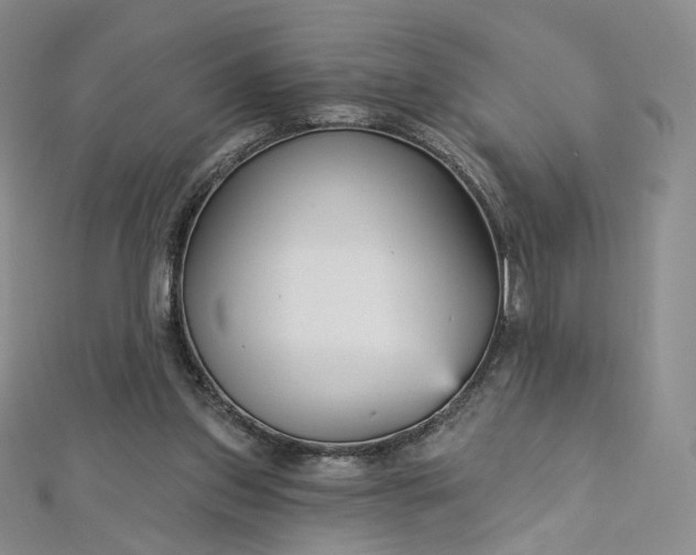 X0000112760157200909031554