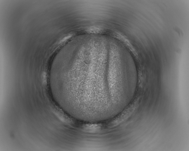 X0000112760161200909031555