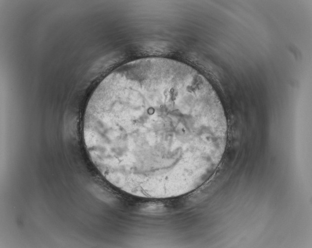 X0000112760162200909031555