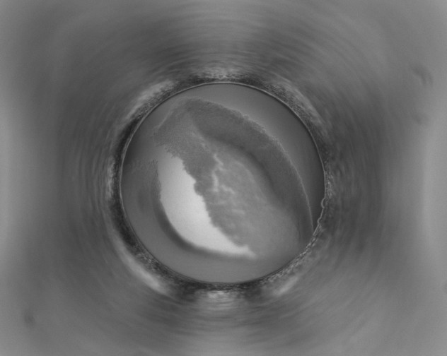 X0000112760163200909031555