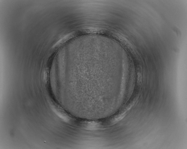 X0000112760165200909031555