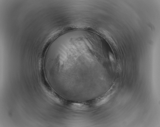 X0000112760167200909031555