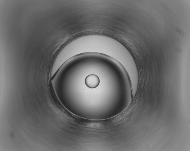 X0000112760168200909031555