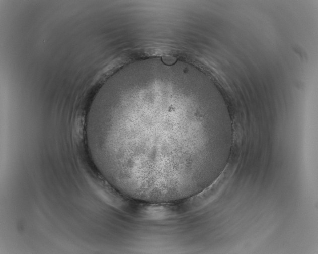 X0000112760171200909031555