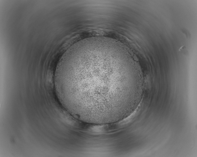 X0000112760178200909031555