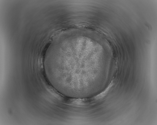 X0000112760182200909031555