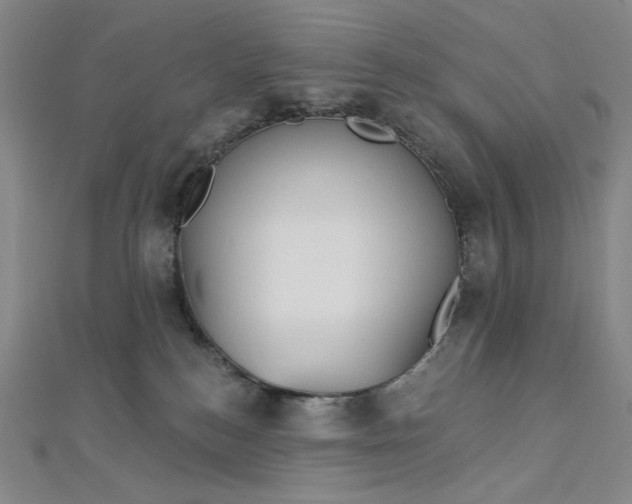 X0000112760184200909031555